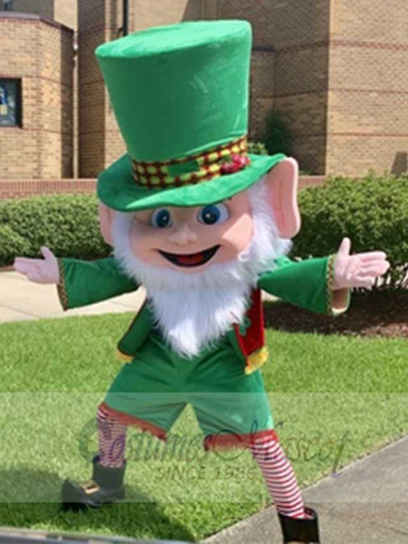 Leprechaun mascot costume