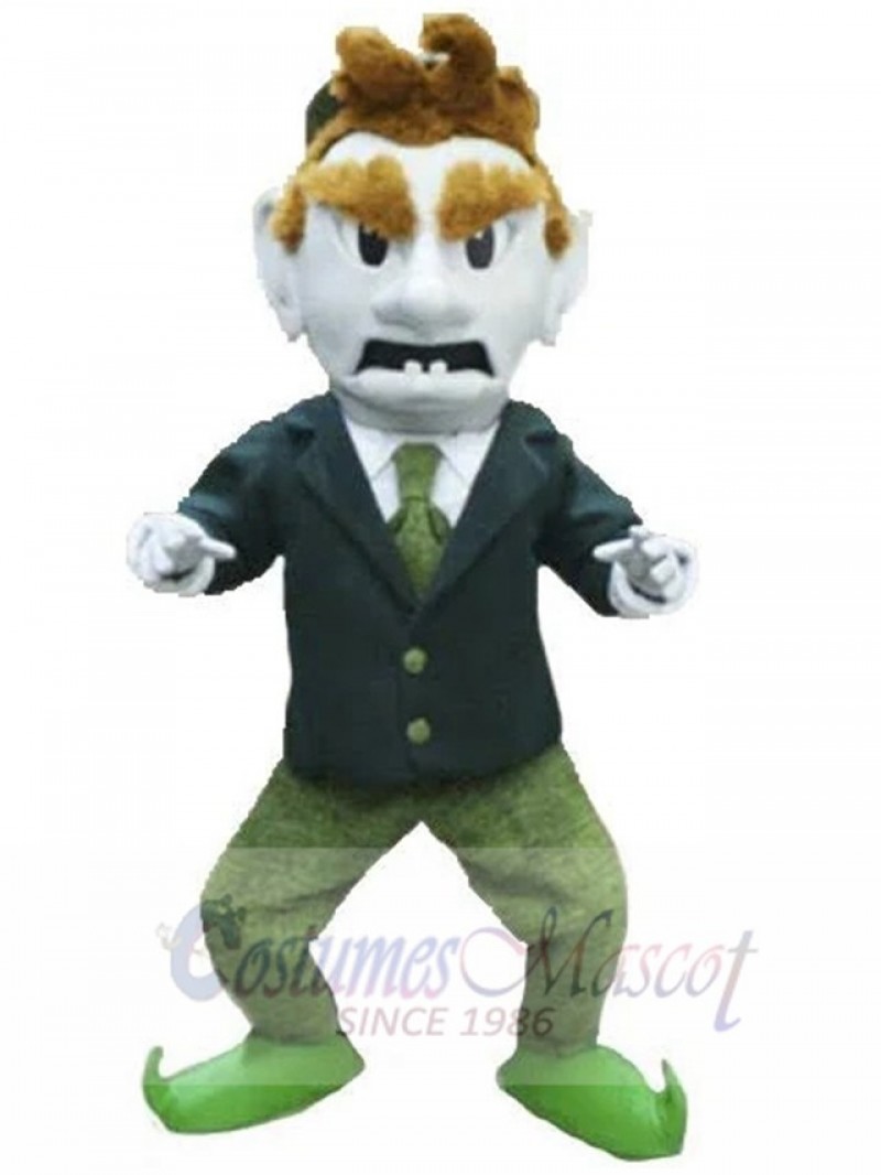 Leprechaun mascot costume