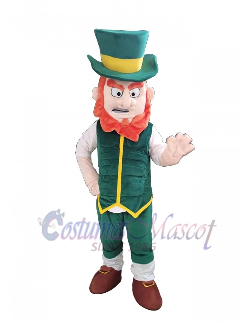 Elfe Boy mascot costume