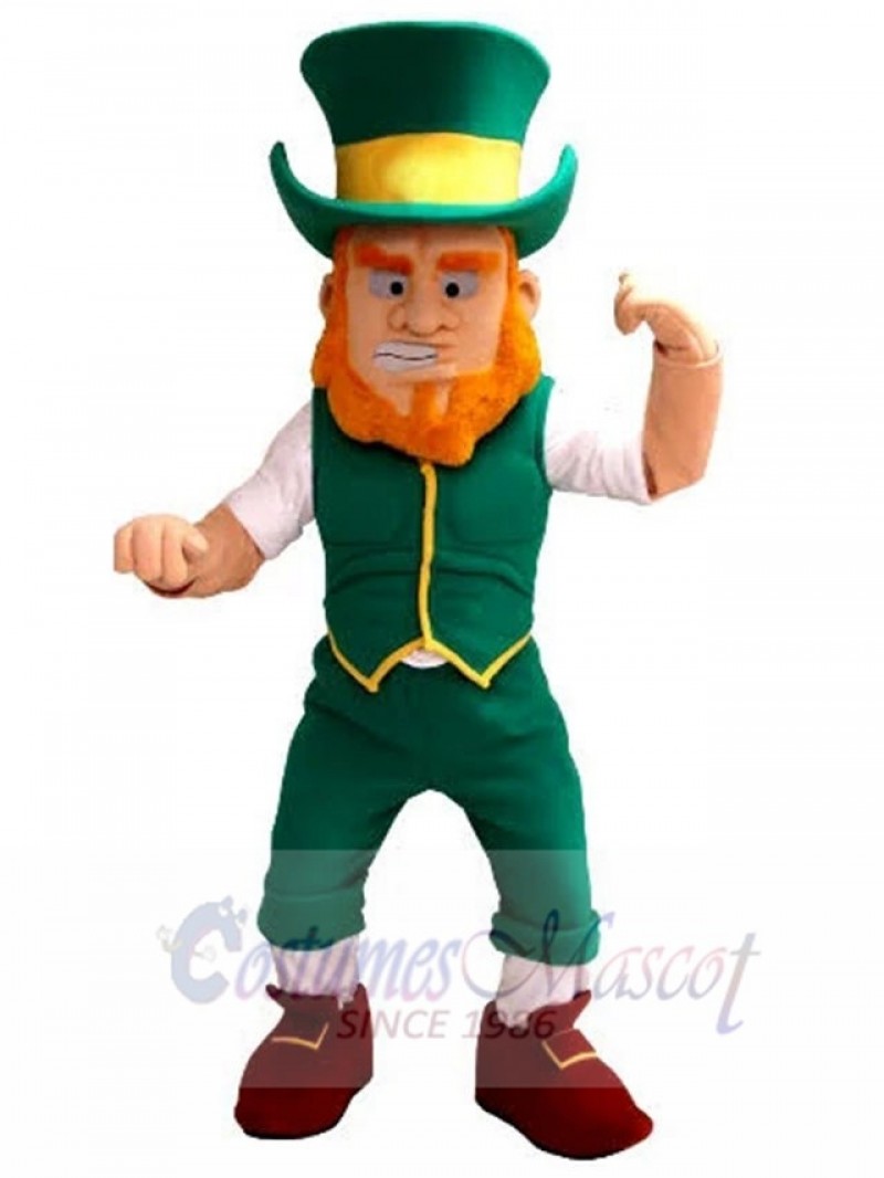 Leprechaun mascot costume