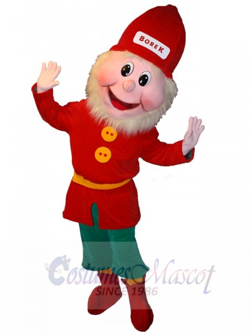 Leprechaun mascot costume