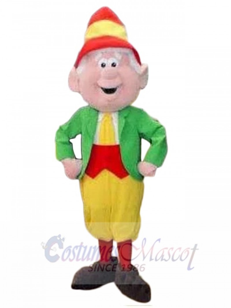 Friendly Leprechaun Elf Mascot Costume Cartoon