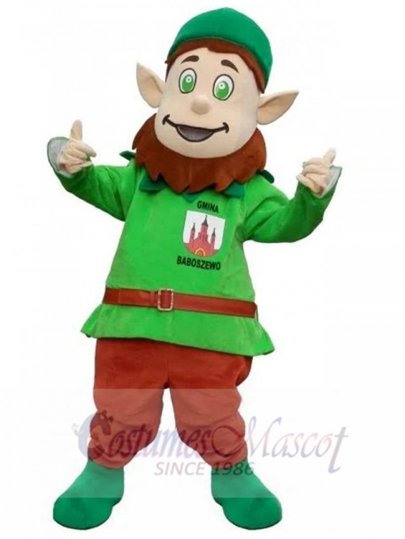 Leprechaun mascot costume