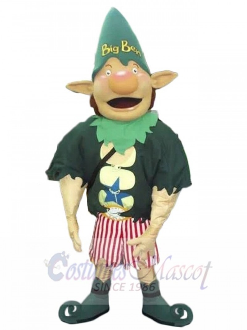 Elf mascot costume