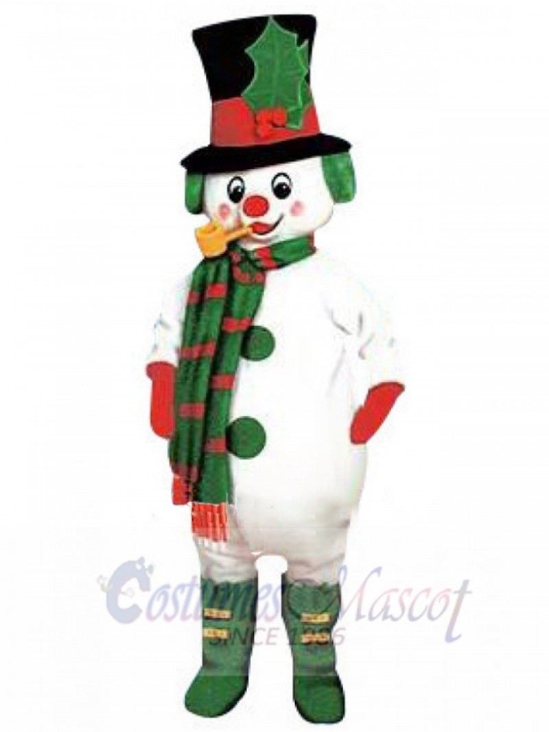 Elf mascot costume