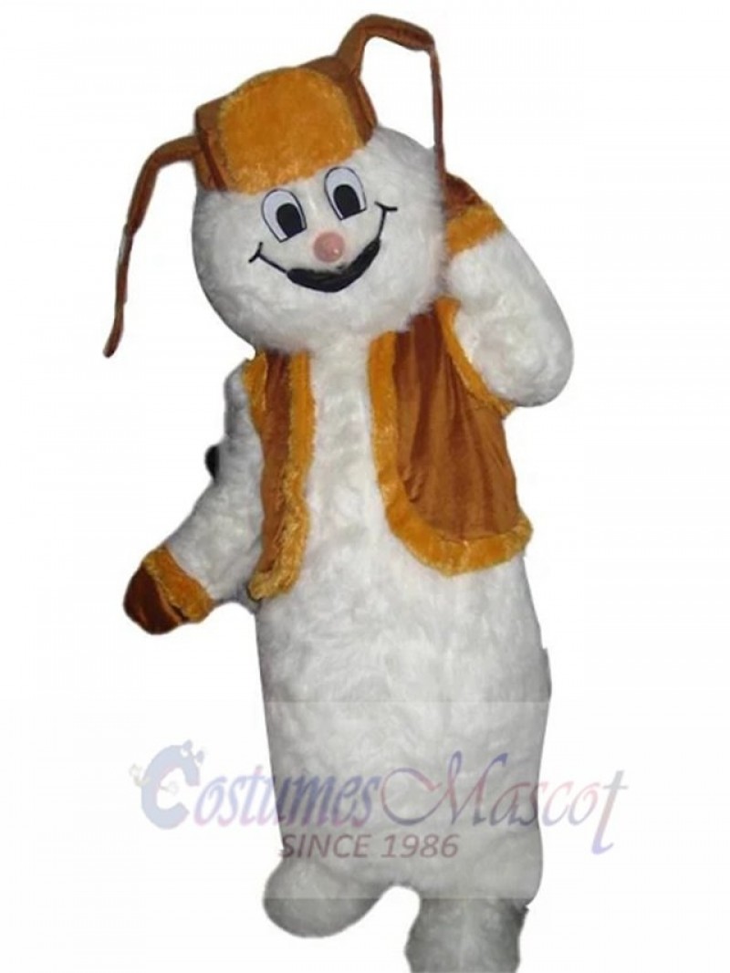 Snowman mascot costume