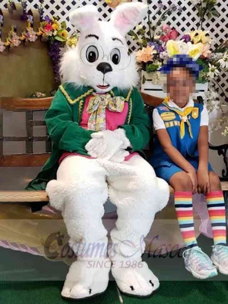 Wendell Rabbit mascot costume