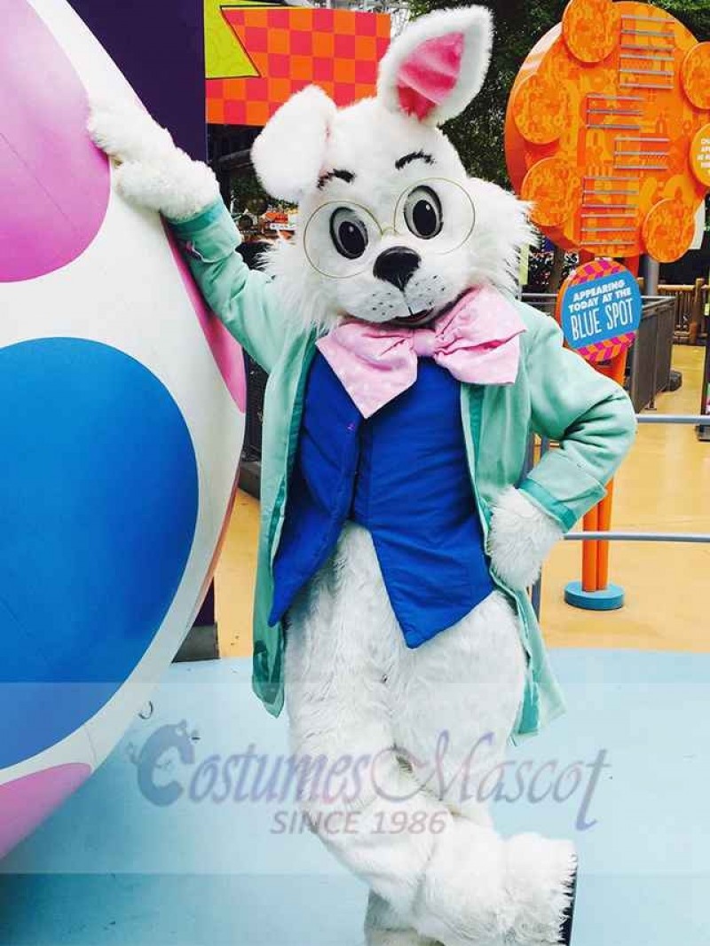 Wendell Rabbit mascot costume