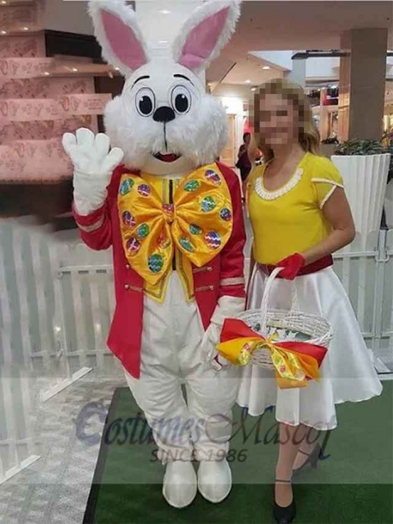 Wendell Rabbit mascot costume