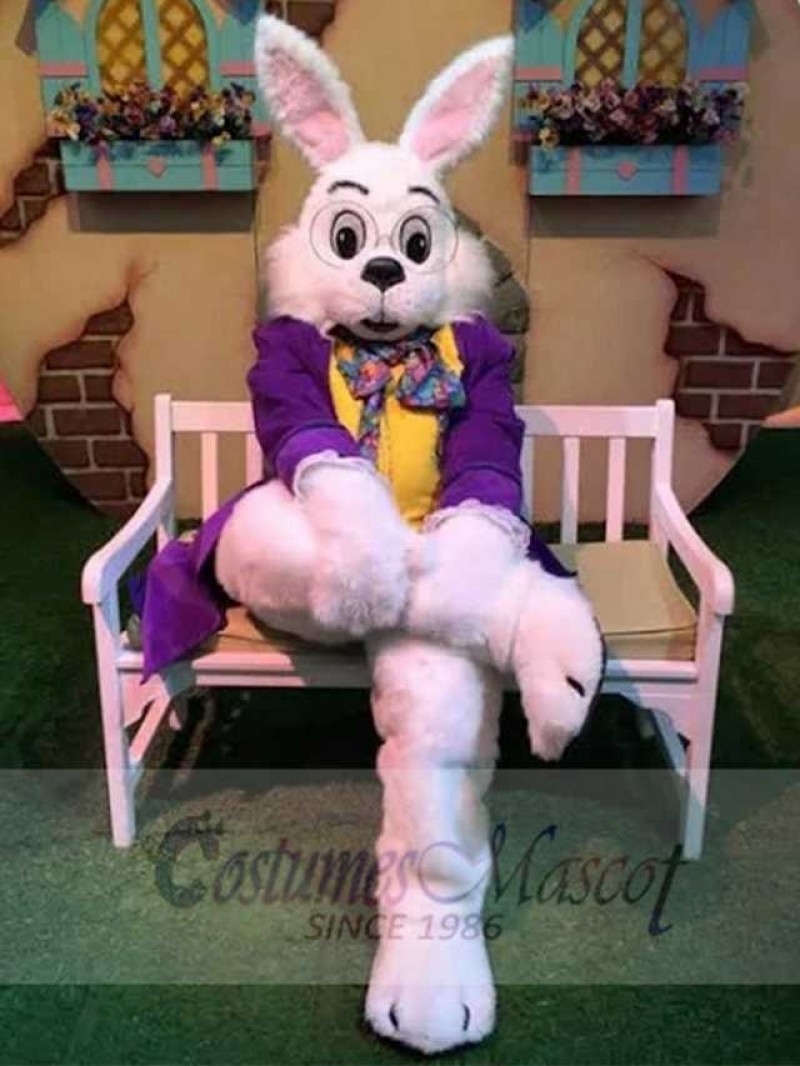 Wendell Rabbit mascot costume