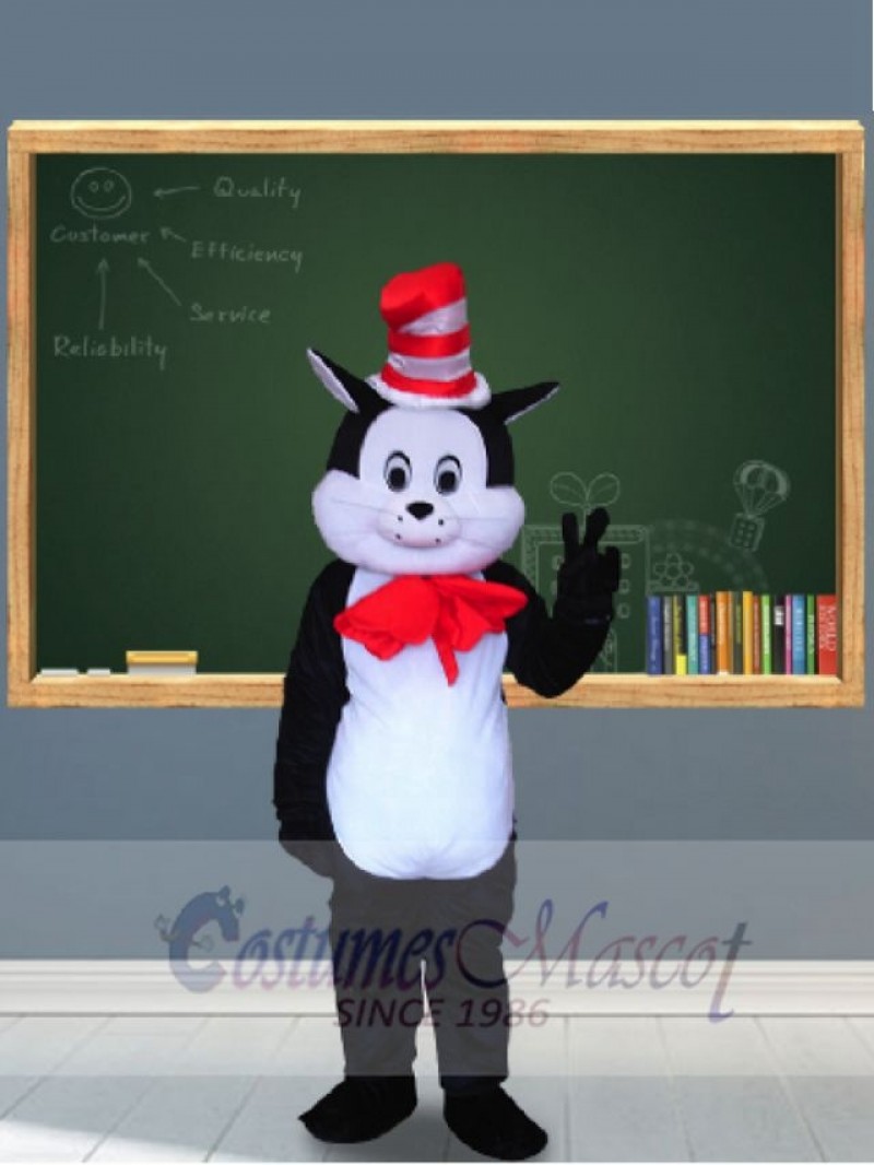 Cat mascot costume