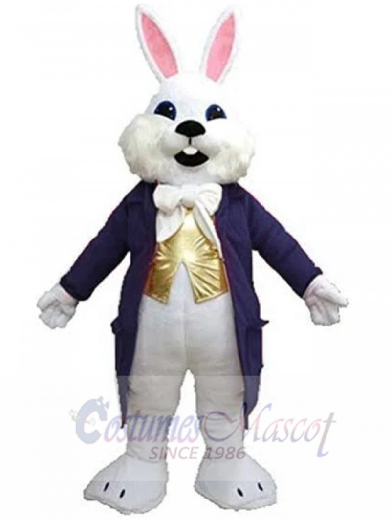 Easter Bunny mascot costume