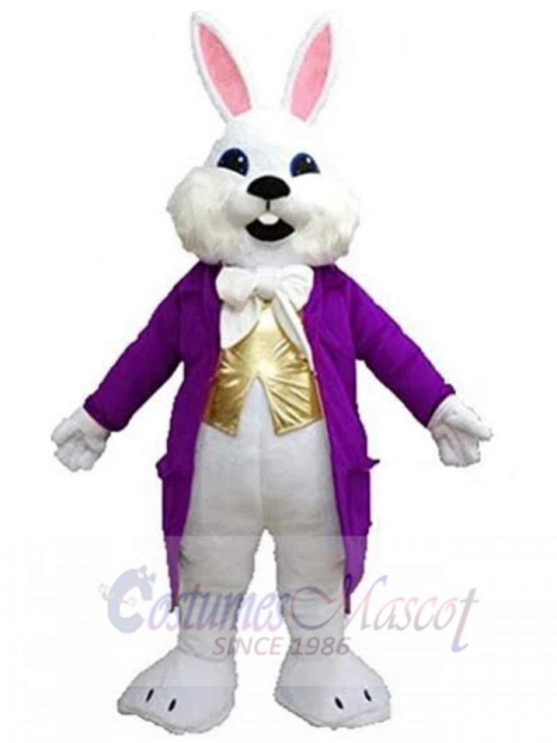 Easter Bunny mascot costume