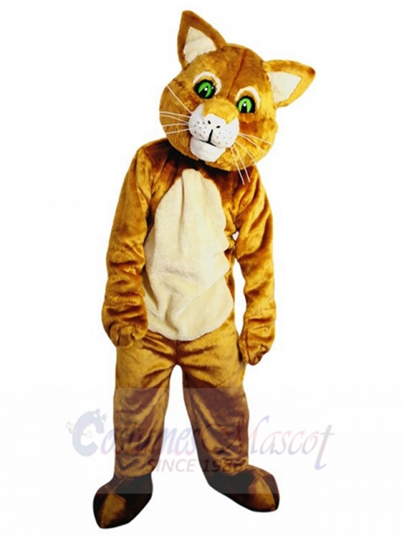 cat mascot costume