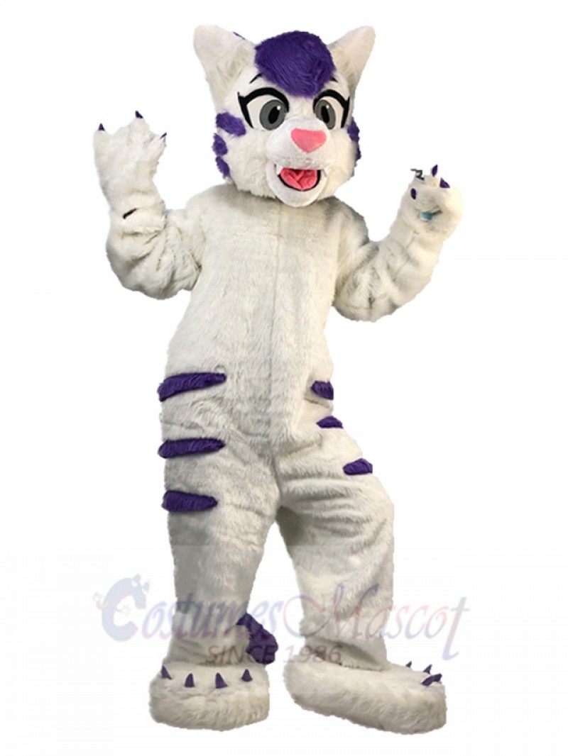 cat mascot costume
