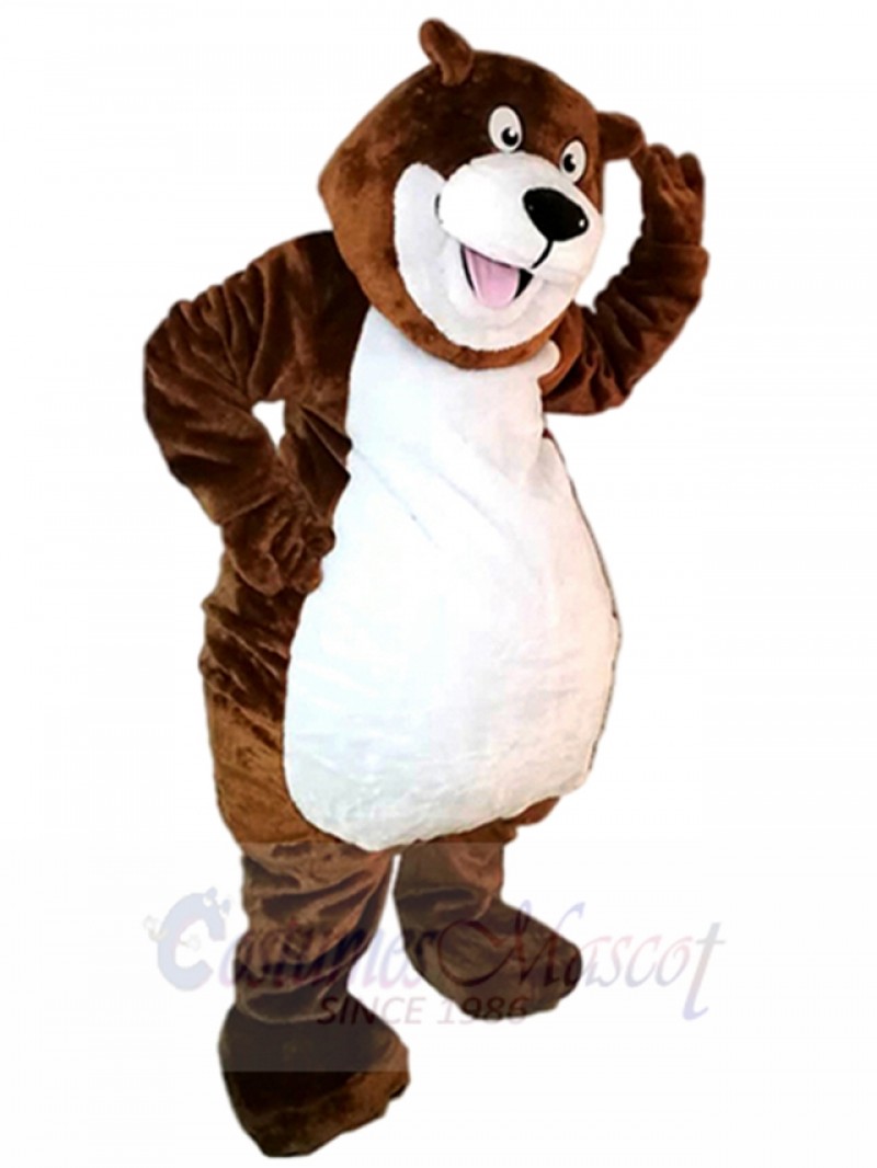bear mascot costume