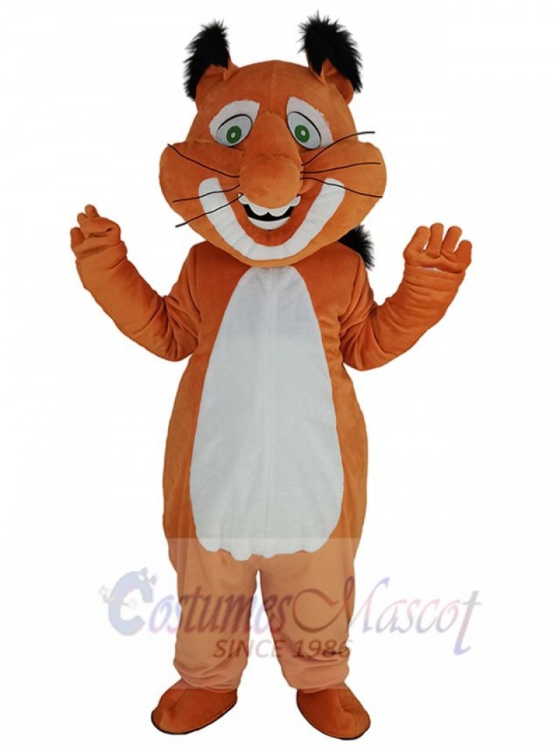 Squirrel mascot costume