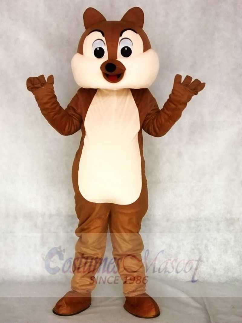Squirrel Boy Mascot Funny Costumes Animal
