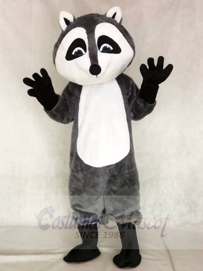 Raccoon Mascot Costumes Animal 