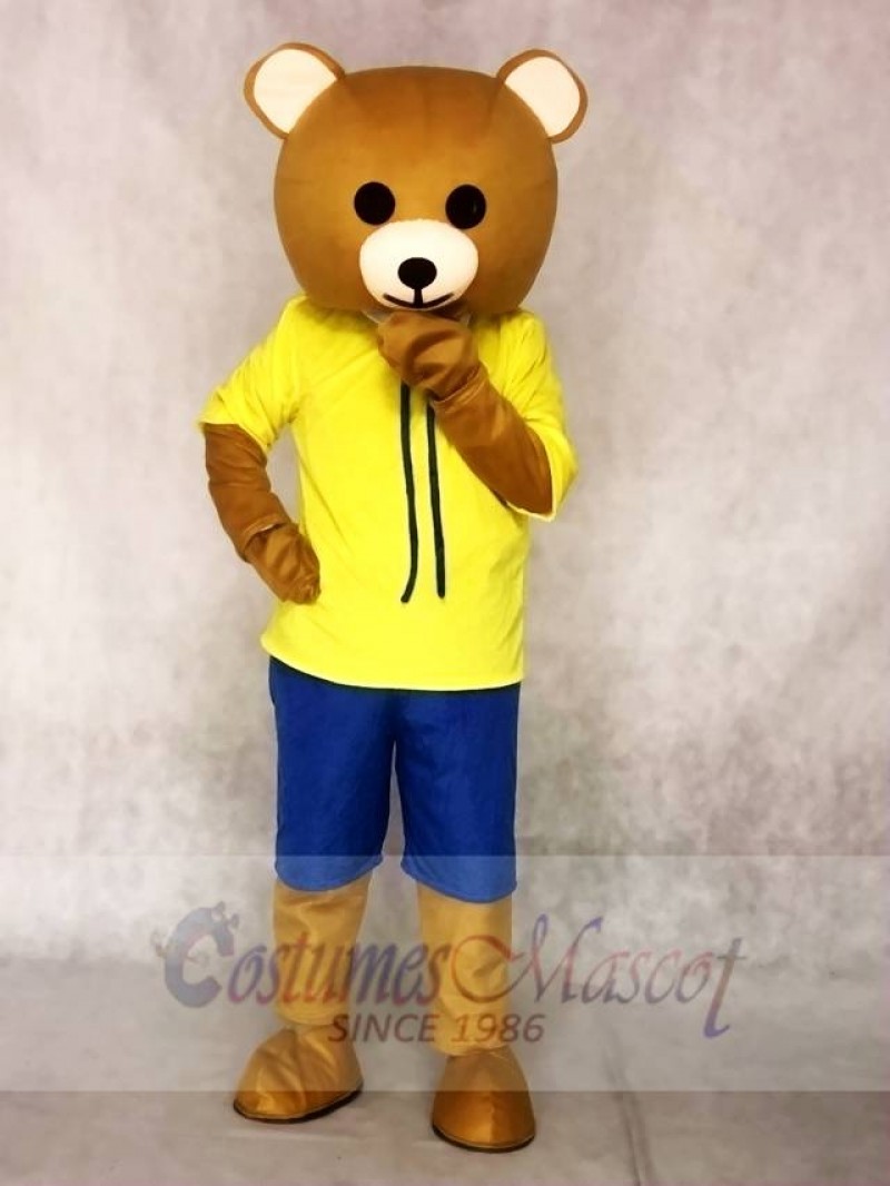 Teddy Bear Mascot Costumes Animal