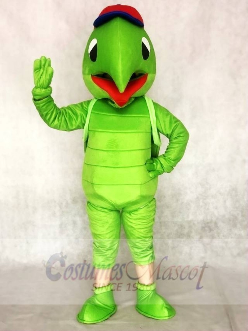 Green Tortoise Turtle Mascot Costumes Animal