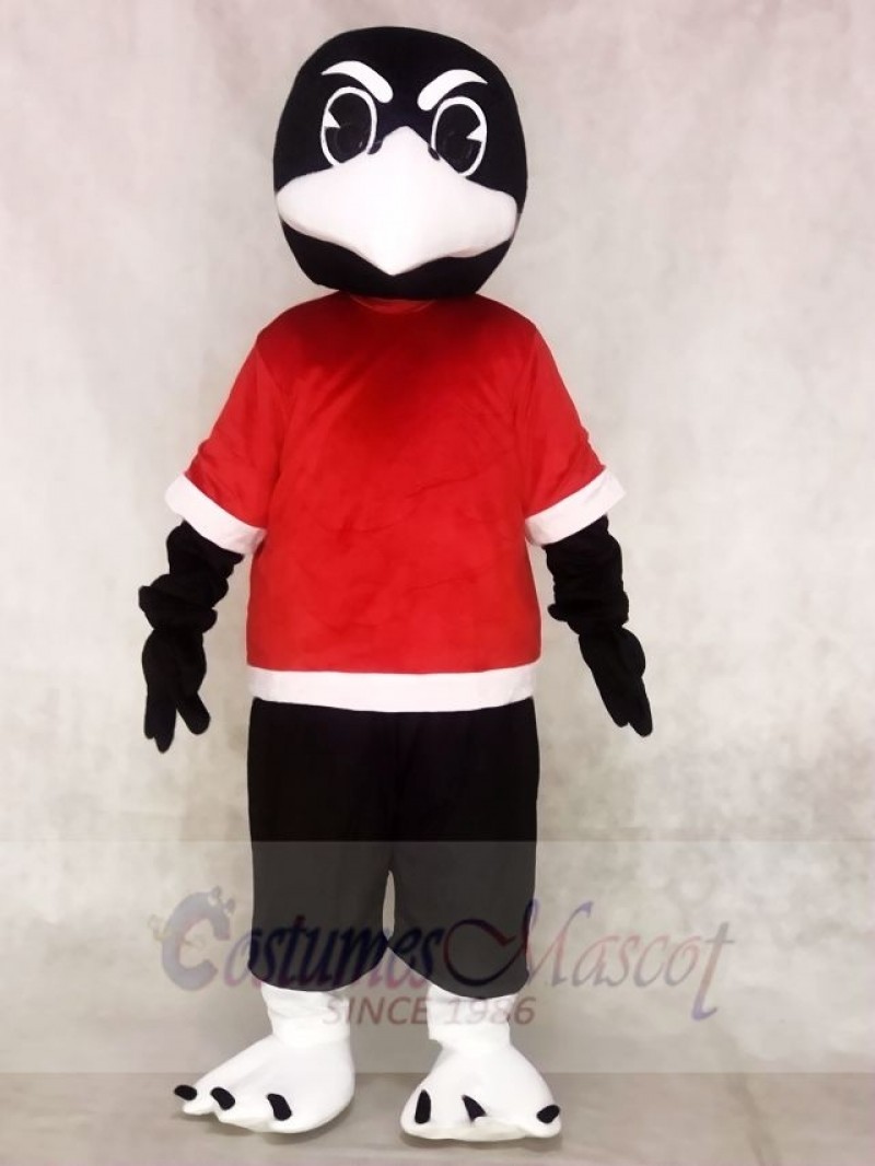 Cute Black Bird Raven Mascot Costumes Animal