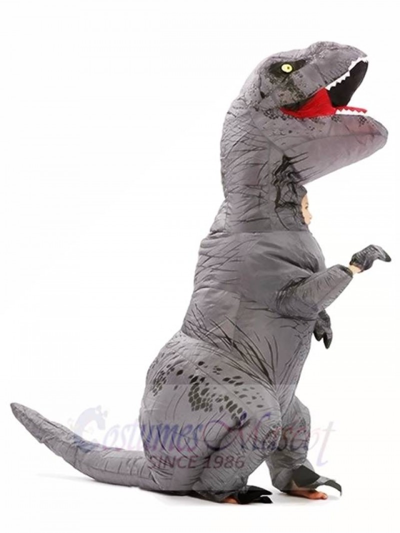 Grey Gray T-REX Dinosaur Inflatable Halloween Christmas Costumes for Kids