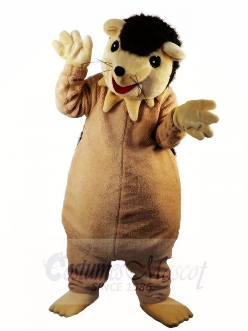 Hedgehog Porcupine Mascot Costumes Animal