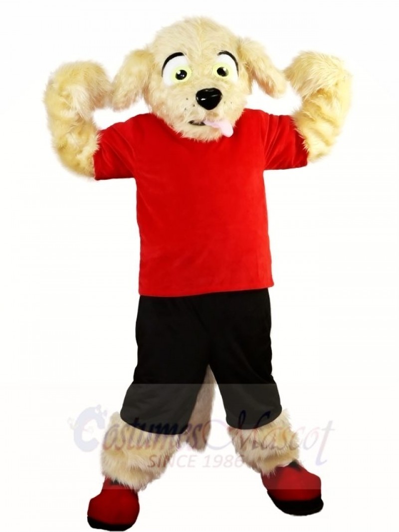 Fluffy Dog in Red Shirt and Black Pants Mascot Costumes Animal