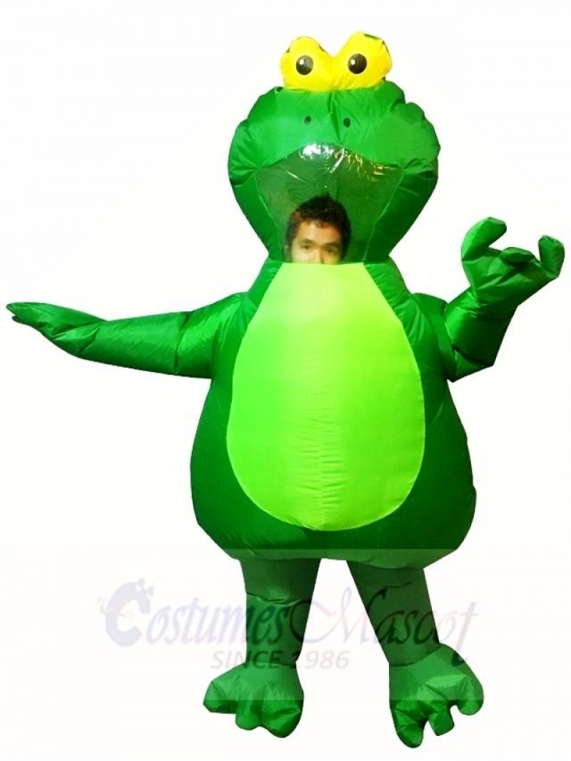 Green Frog Inflatable Halloween Xmas Costumes for Adults