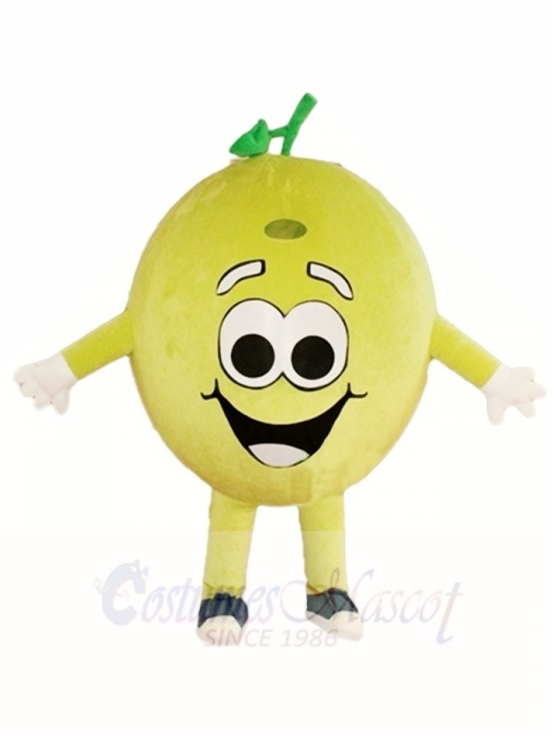 Happy Lemon Lime Mascot Costumes Fruit Plant 