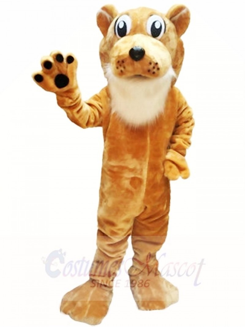 Colby Cougar Mascot Costumes Animal 