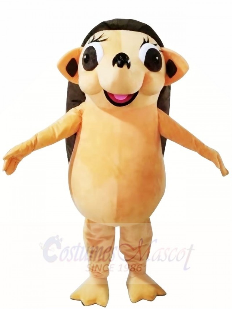 Hedgehog Mascot Costumes Animal 