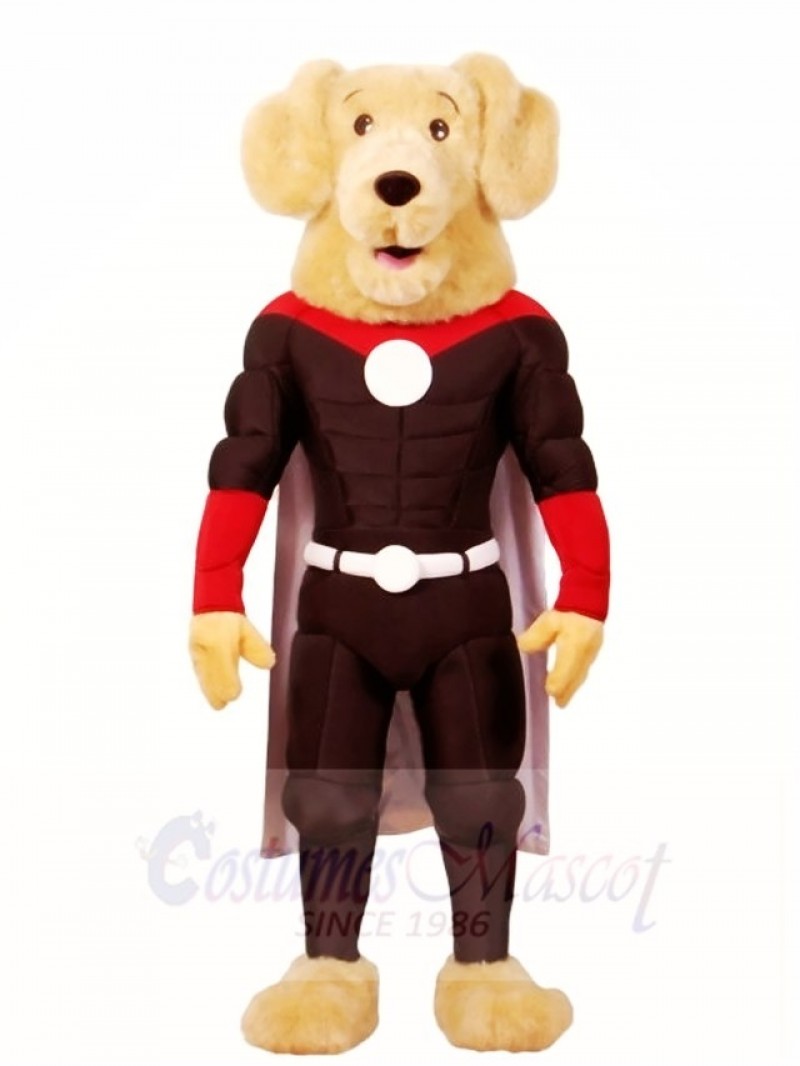 A Retriever Dog Super Hero Mascot Costumes Animal