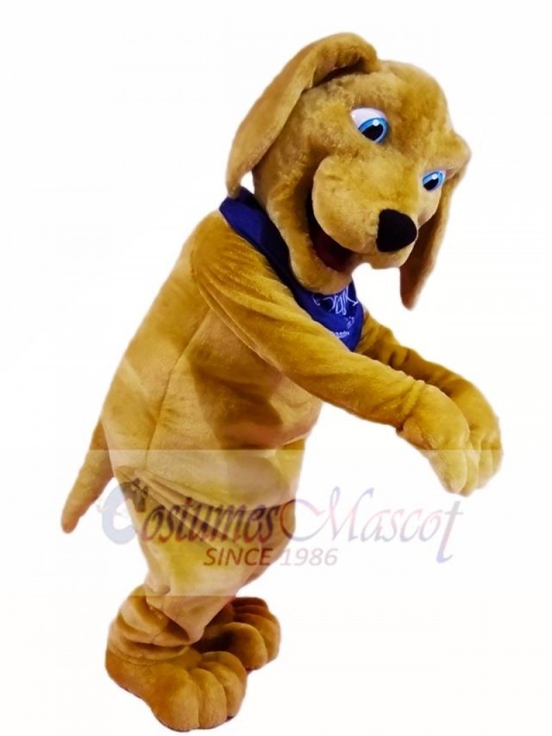 Brown Dog Mascot Costumes