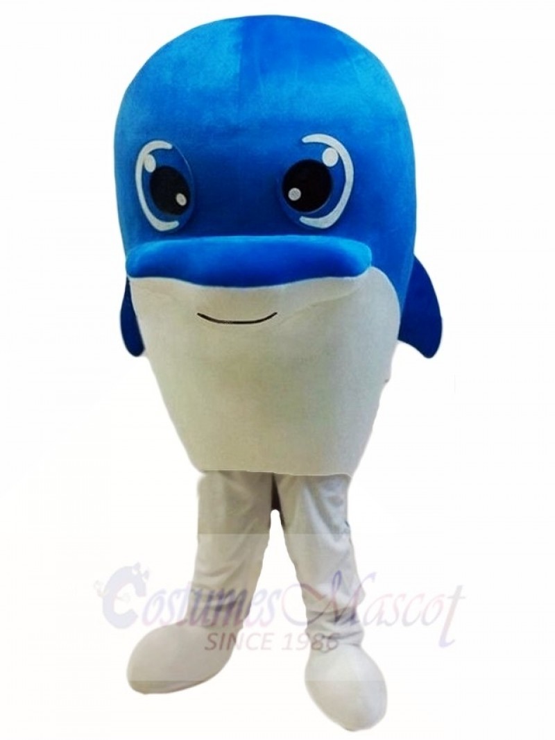 Dolphin Mascot Costumes Ocean 