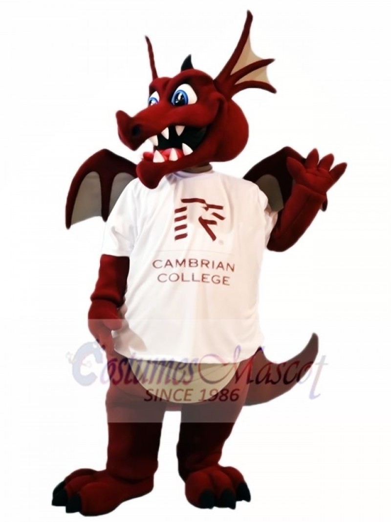 Wine Dragon with Wings Mascot Costumes