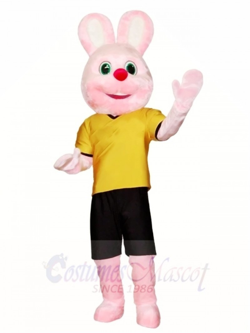 Pink Rabbit Mascot Costumes Easter Bunny Animal