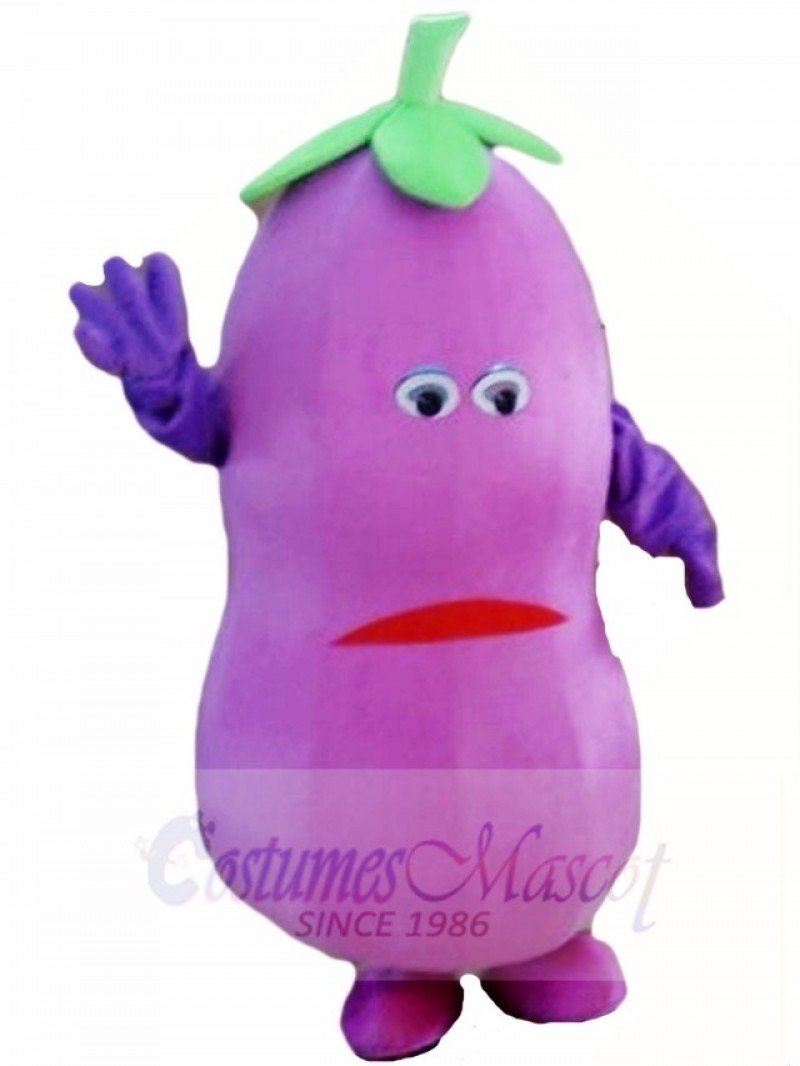 Eggplant Mascot Costumes Vegetable Plant