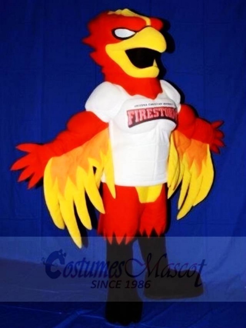 Fire Storm Red Eagle Phoenix Animal 