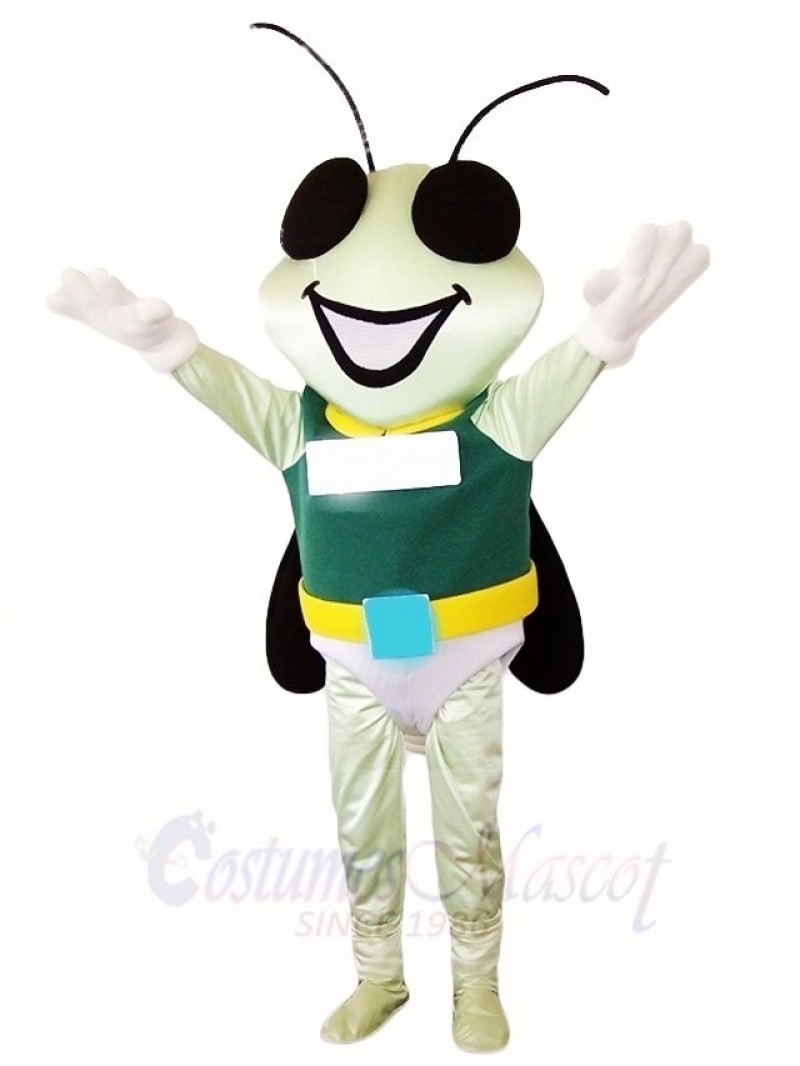Firefly Mascot Costumes Insect