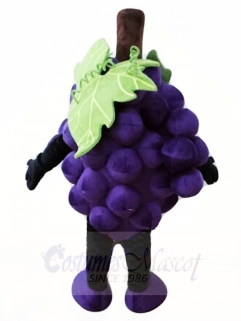 Purple Grape Mascot Costumes Fruit Food Plant