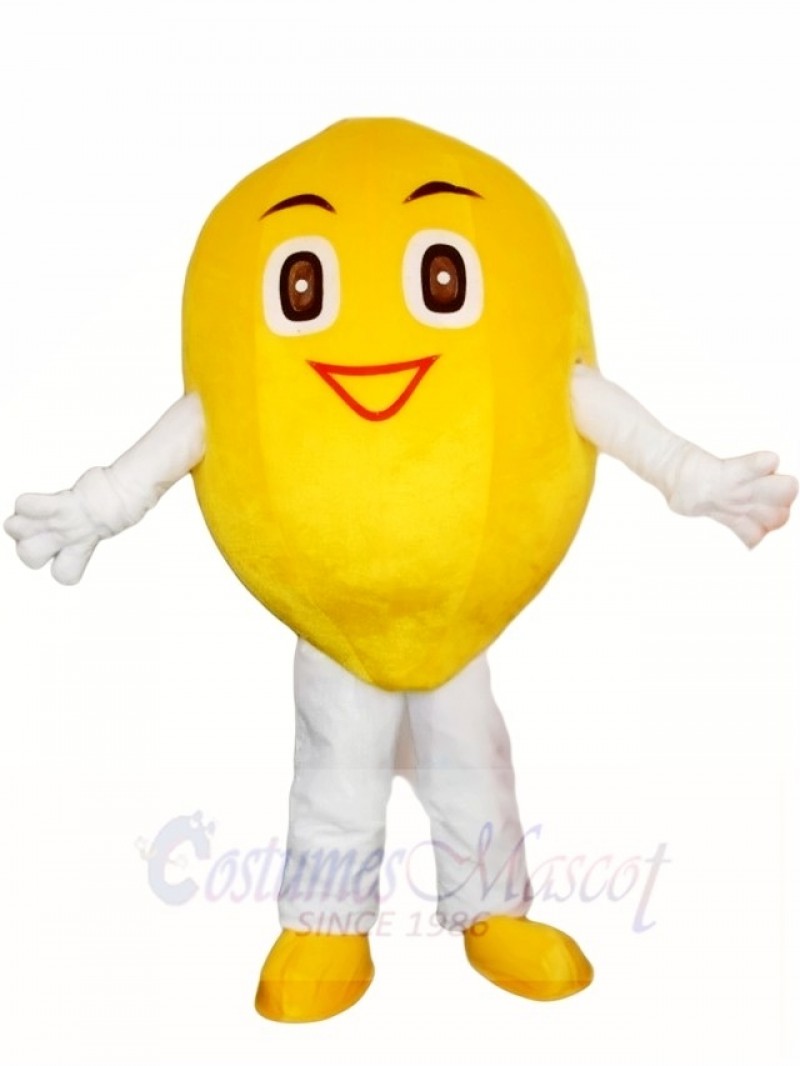 Smiling Lemon Mascot Costumes Fruit