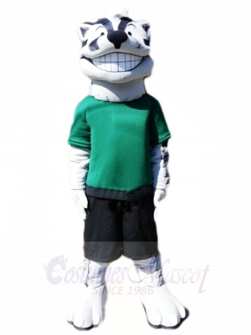 Grinning Badger Sports Mascot Costumes Animal