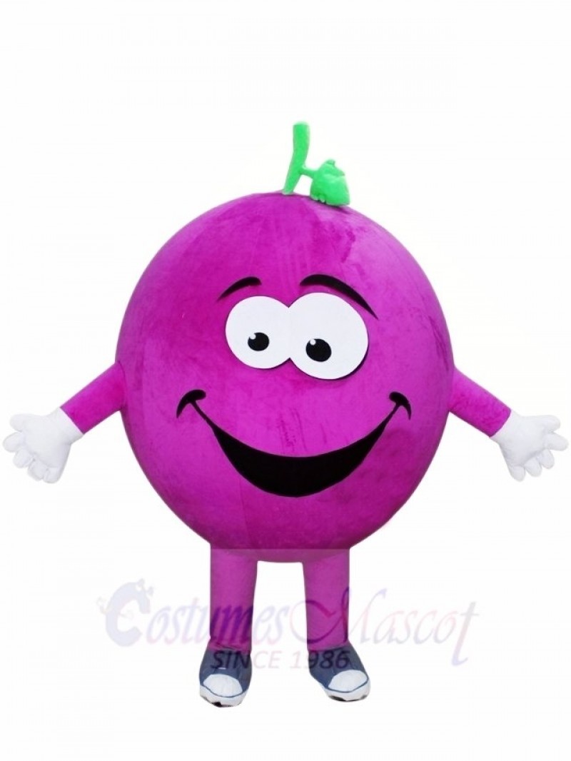 Purple Grapes Mascot Costumes Fruit Plant