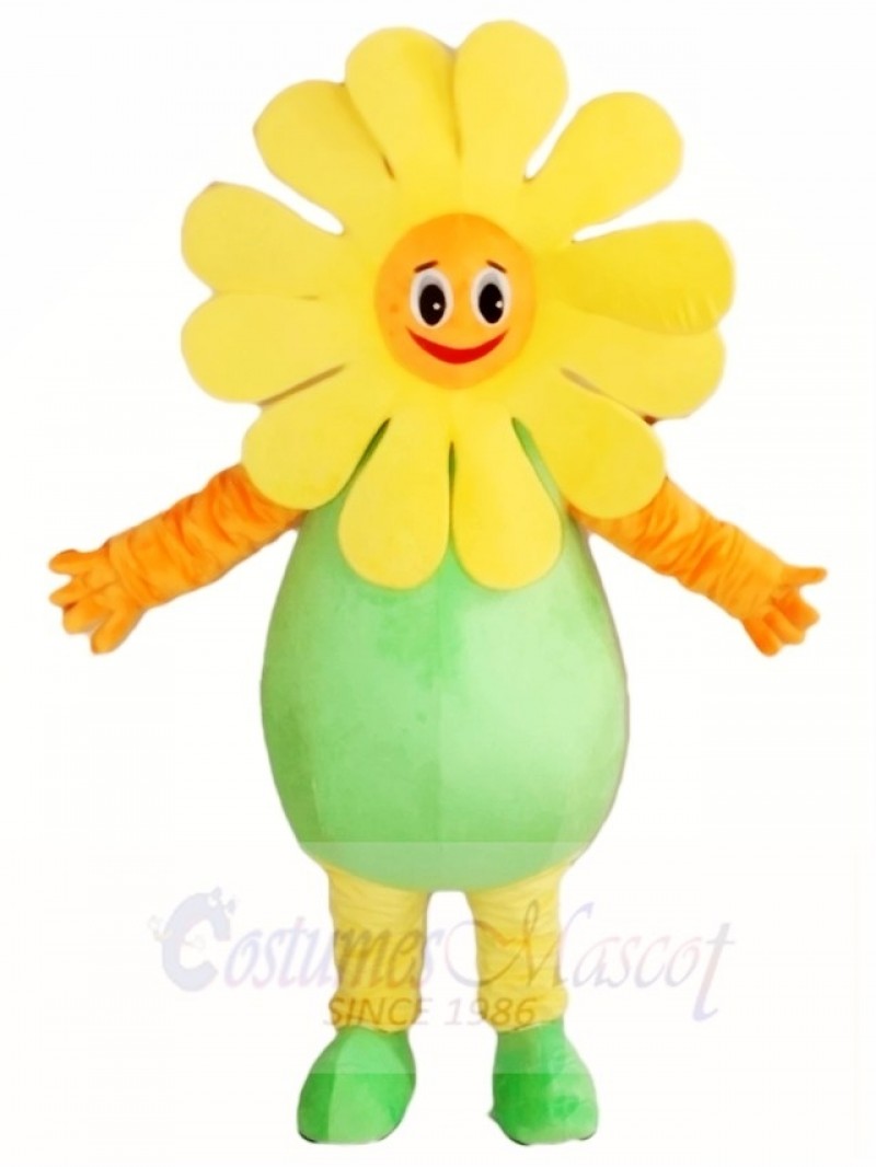 Sunflower Mascot Costumes Plant