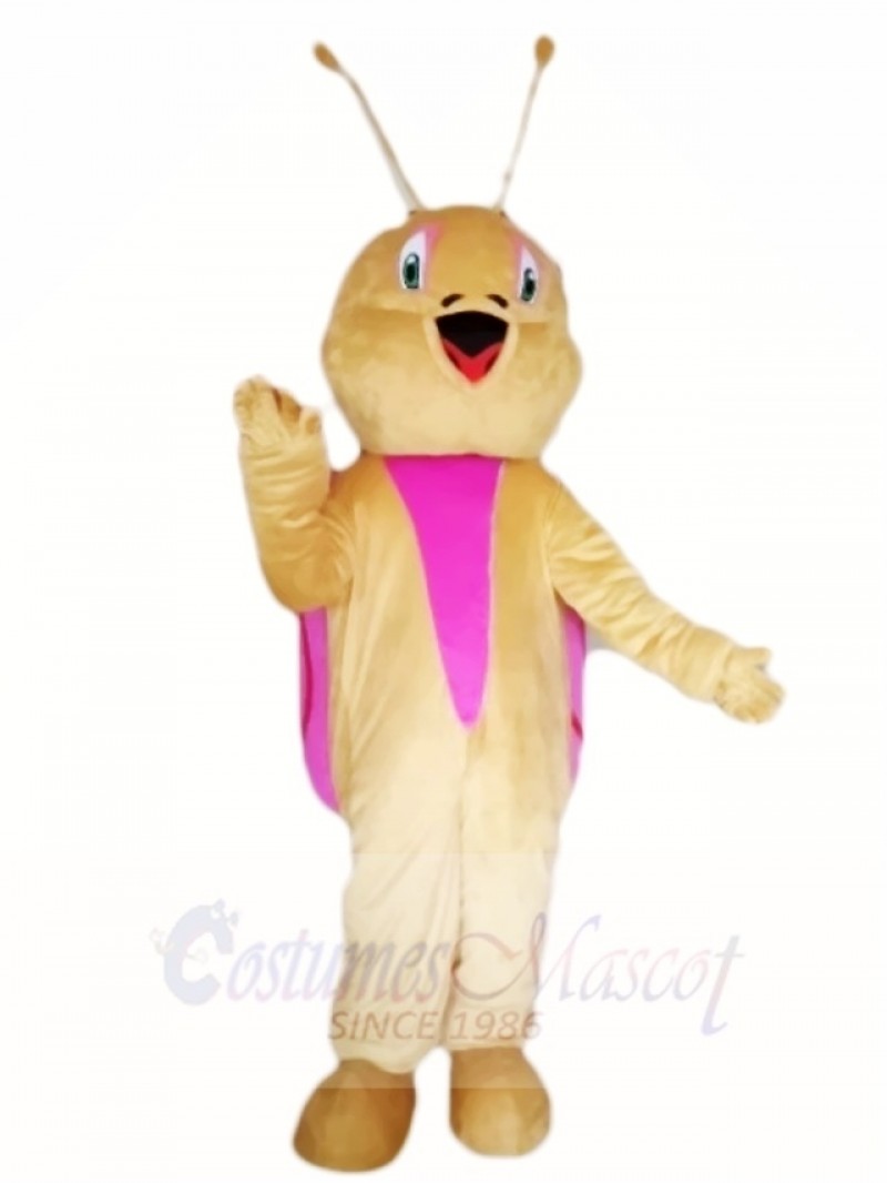 Cute Snail Mascot Costumes Animal 