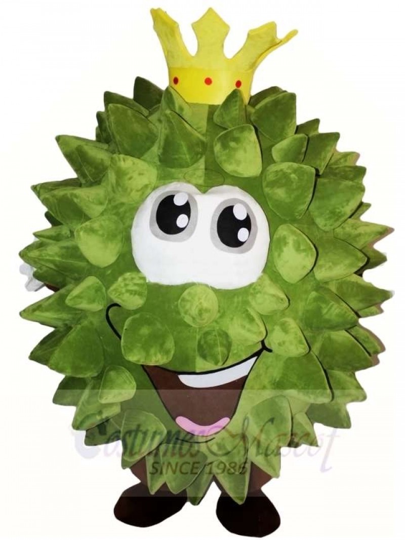 Musang King Durian Mascot Costumes Fruit 