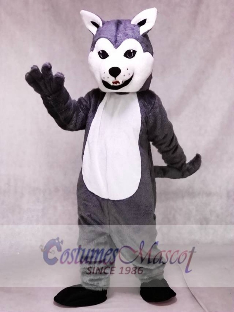 New Lovely Friendly Husky Dog Mascot Costume