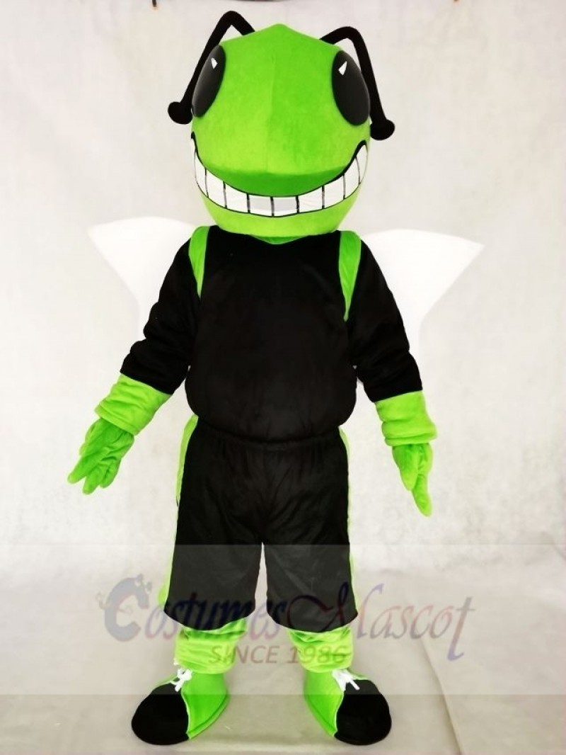 Green and Black Hornets Mascot Costumes Insect 